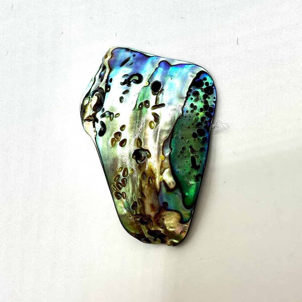 1.5" Abalone Shell Ocean Sea Pendant Holographic Beach